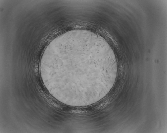 X0000084010545200703161716