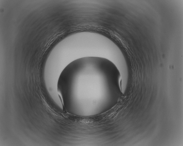 X0000084010546200703161716