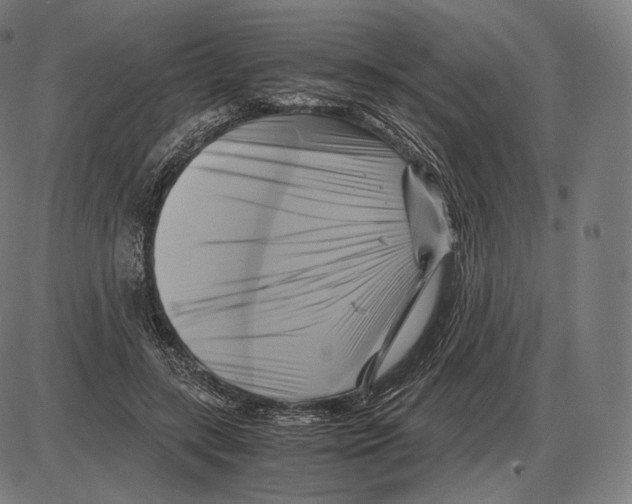 X0000084010547200703161716