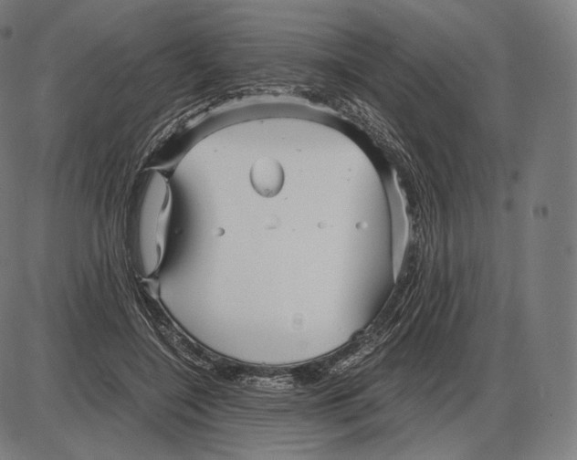 X0000084010548200703161716