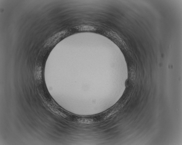 X0000084010549200703161716