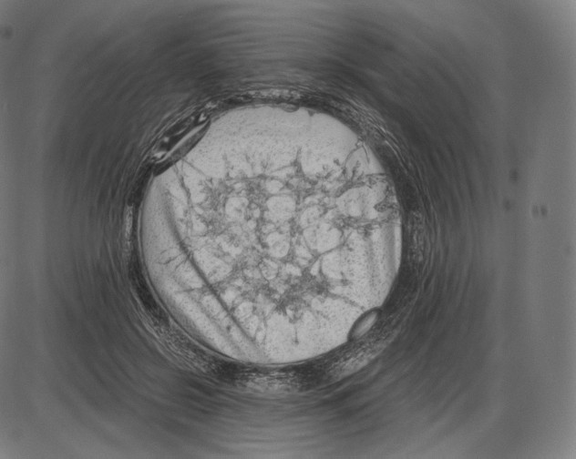 X0000084010550200703161716