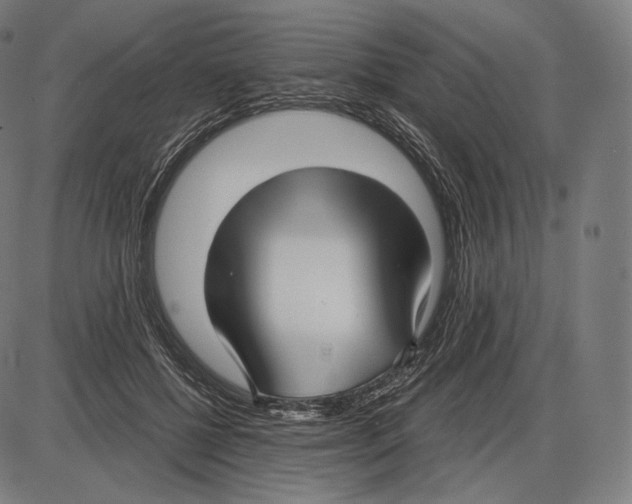 X0000084010552200703161716