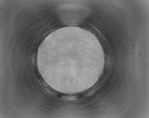 X0000084010553200703161716