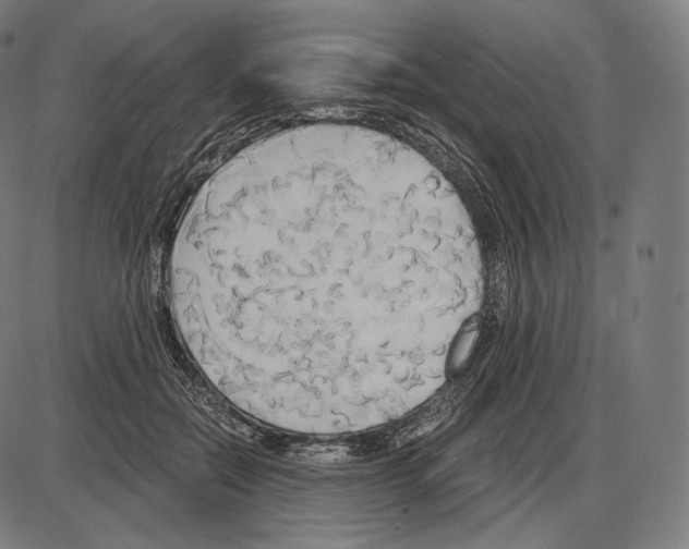 X0000084010554200703161716