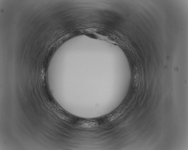 X0000084010555200703161716