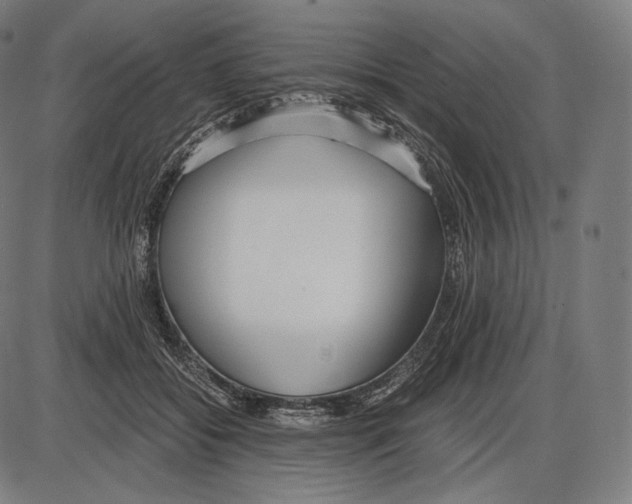 X0000084010556200703161716