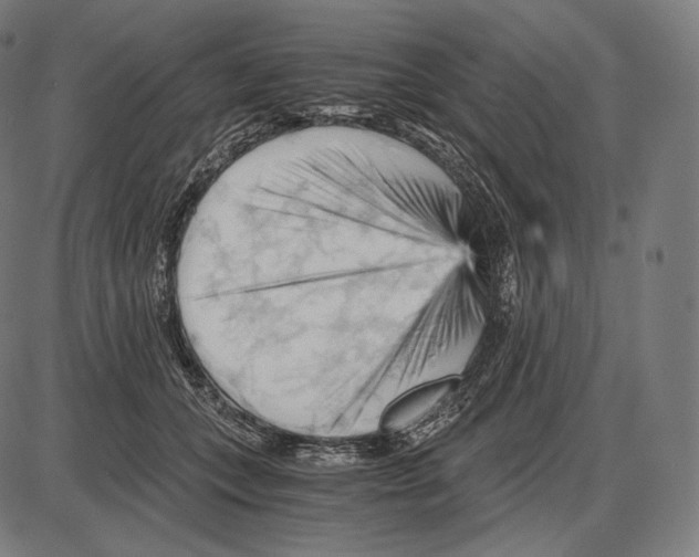 X0000084010559200703161716