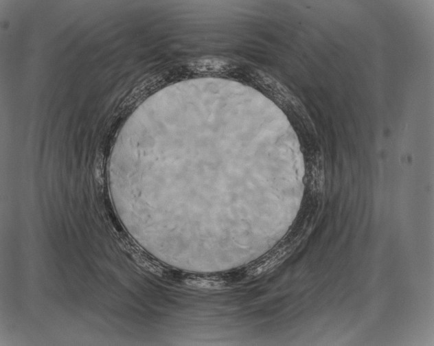 X0000084010561200703161717