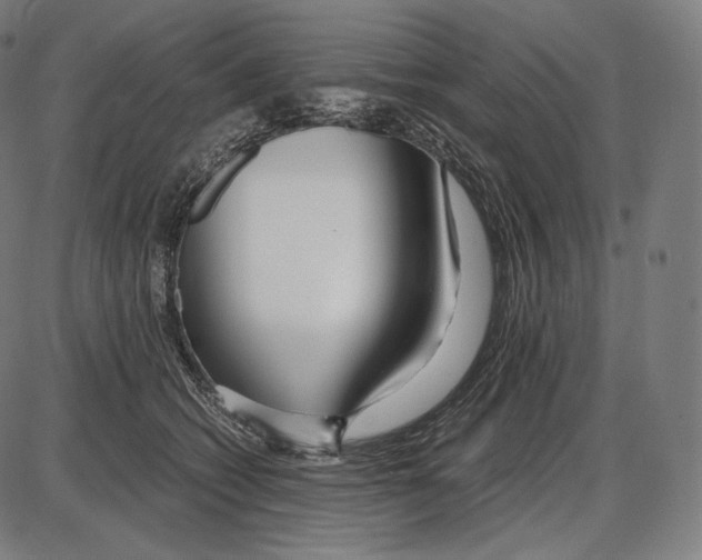 X0000084010562200703161717