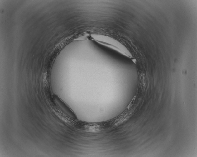 X0000084010564200703161717