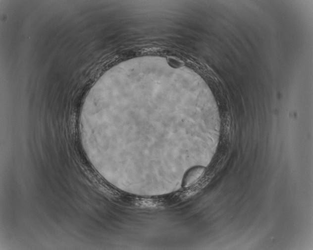 X0000084010565200703161717