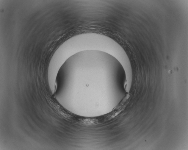 X0000084010566200703161717