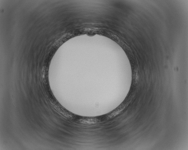 X0000084010567200703161717