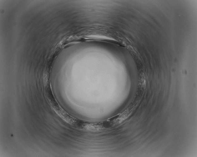 X0000084010568200703161717