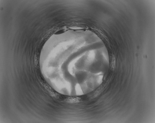 X0000084010569200703161717