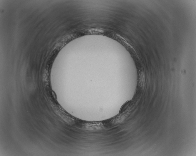 X0000084010571200703161717