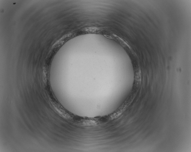 X0000084010572200703161717