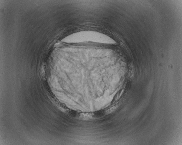 X0000084010573200703161717