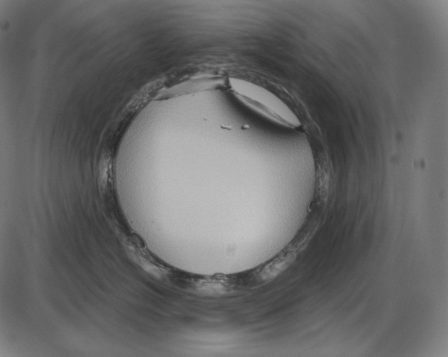 X0000084010574200703161717