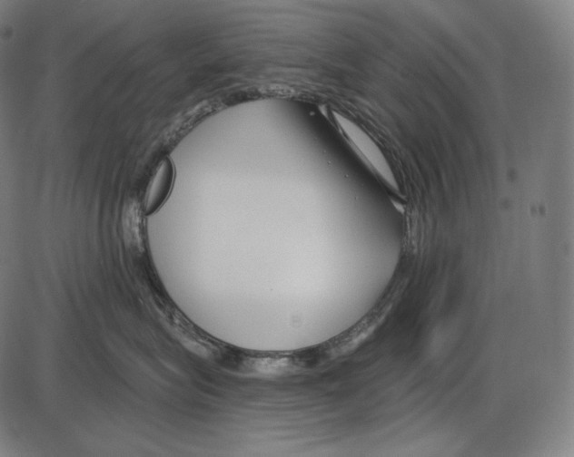 X0000084010575200703161717