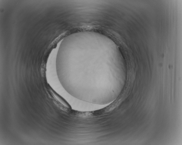 X0000084010576200703161717