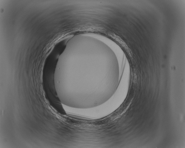 X0000084010577200703161716