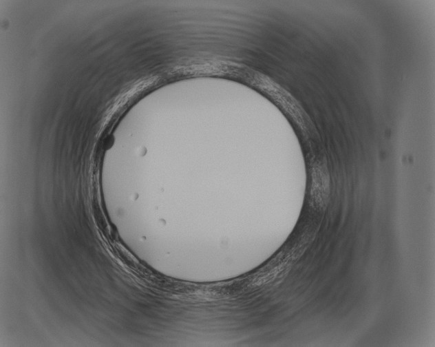 X0000084010578200703161716