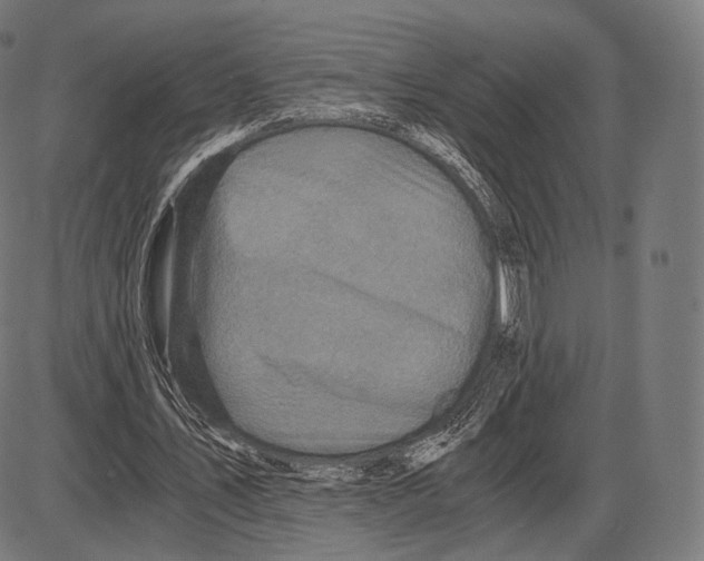 X0000084010579200703161716