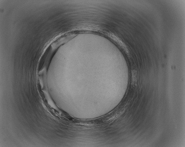 X0000084010580200703161716