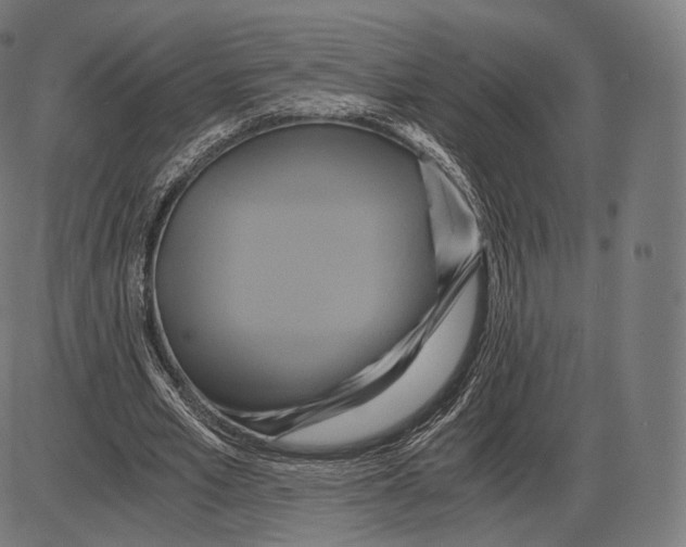 X0000084010581200703161716