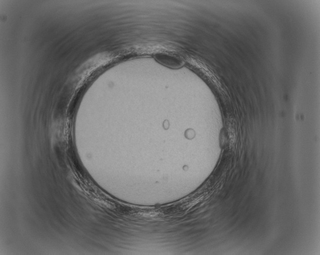 X0000084010583200703161716