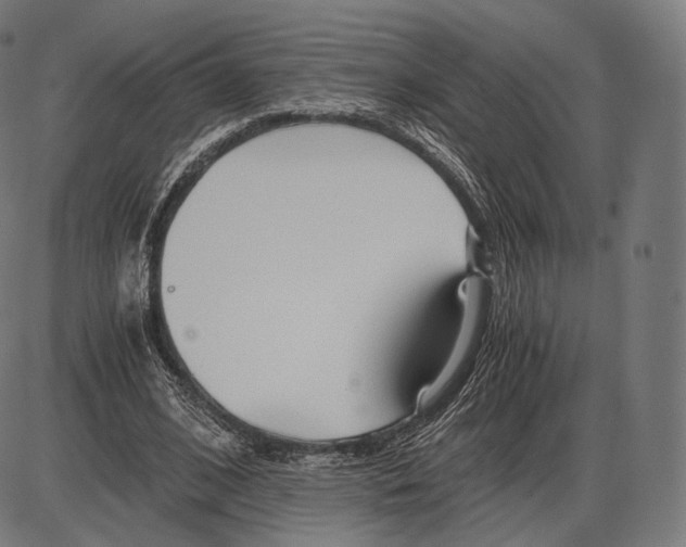 X0000084010584200703161716