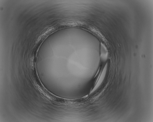 X0000084010585200703161716