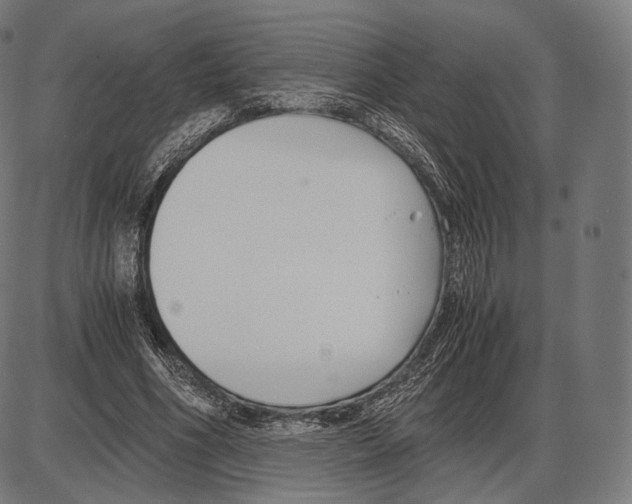 X0000084010586200703161716