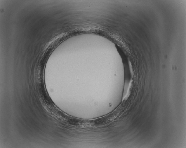 X0000084010587200703161716