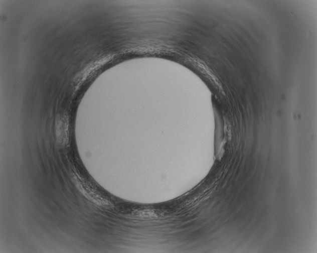 X0000084010588200703161716