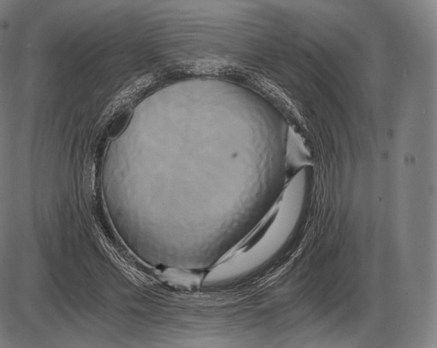 X0000084010589200703161716