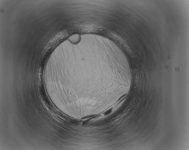 X0000084010590200703161716