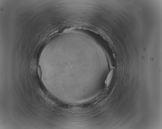 X0000084010593200703161716