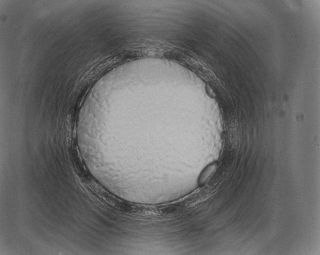 X0000084010594200703161716