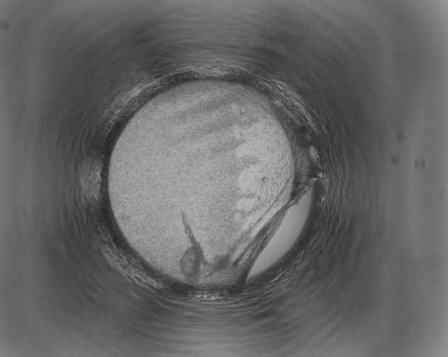 X0000084010596200703161716