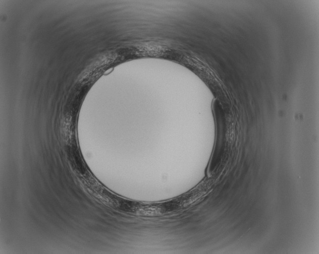 X0000084010599200703161716