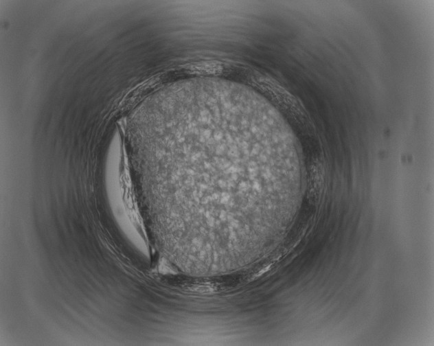 X0000084010600200703161716