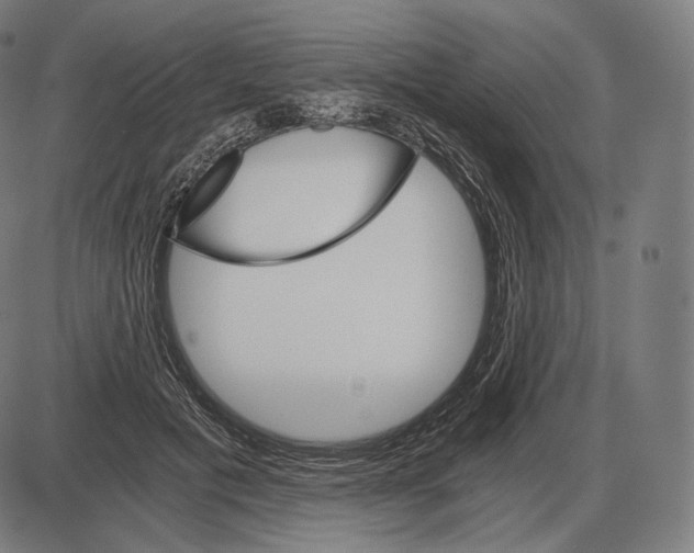 X0000084010601200703161716