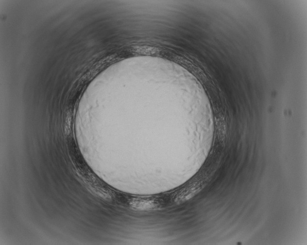 X0000084010602200703161716