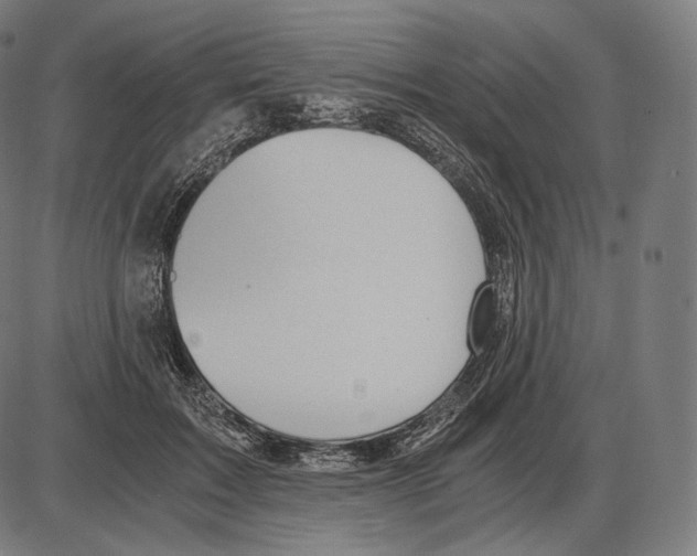 X0000084010603200703161716