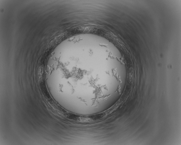 X0000084010605200703161715
