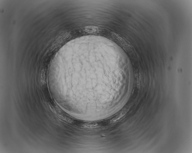 X0000084010606200703161715