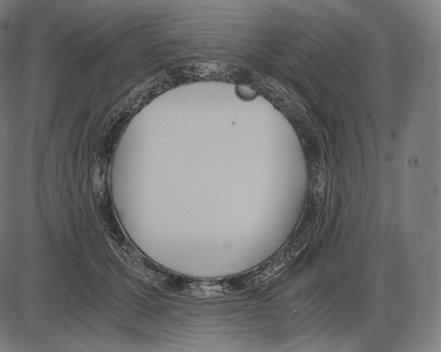 X0000084010607200703161715